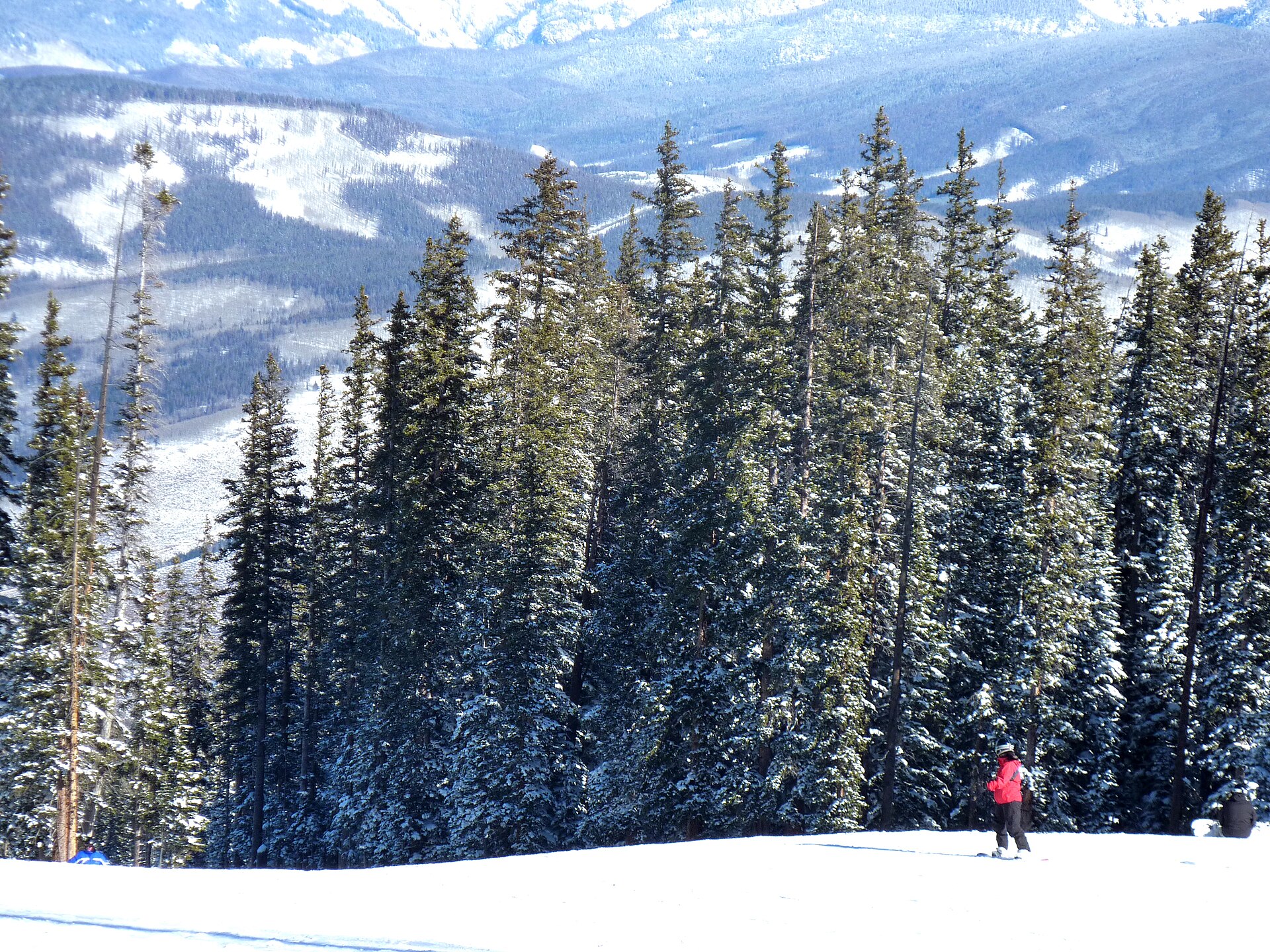 Beaver Creek