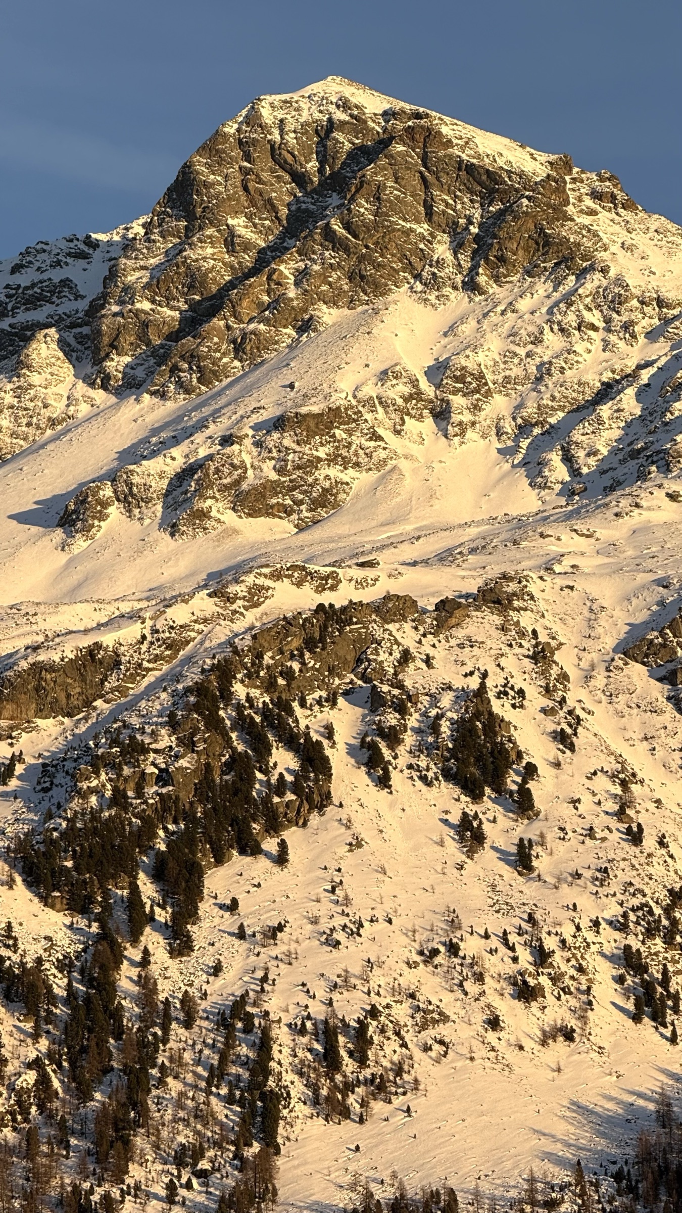 Patagonia